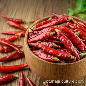 Chinese chinês vendendo chili quente pimentão vermelho